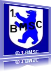 1. BMSC